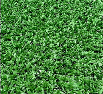 Green Astro Turf